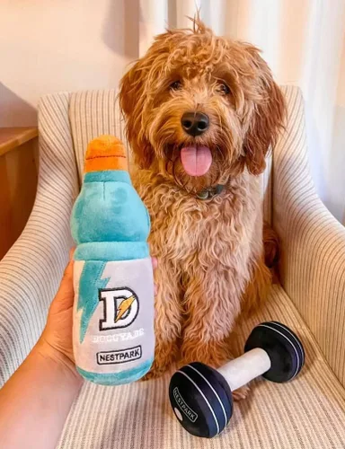 Vista 2 de Nestpark Doggyade - Juguetes divertidos para perros, parodia de entrenamiento de fitness, juguetes lindos para perros (Doggyade)