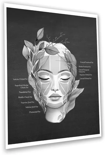 Vista 5 de Gnosis Picture Archive Cuadro de anatomía facial de almohadilla de grasa facial, músculos, vasos sanguíneos, juego de 3 impresiones artísticas sin