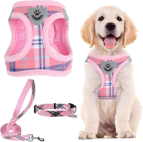 Vista 9 de PUPTECK - Arnés, collar y correa ajustables, sin tirones, para perros pequeños y medianos, cachorros y gatos, pechera reflectante acolchada de malla