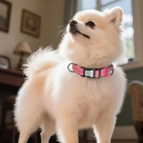 Vista 8 de Collar para perro Airtag con código QR, collar reflectante con soporte para Airtag, acolchado suave y hebilla de bloqueo de seguridad, collar Rosa
