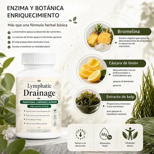 Vista 3 de Kavifo Cápsulas de drenaje linfático, suplementos herbales naturales con extracto de diente de león, bardana, algas y equinácea, apoya la reducción