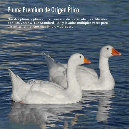 Vista 5 de Pacific Coast - Edredón de plumón de ganso y plumas tamaño King, 100% algodón extra esponjoso, color blanco, para inserto de edredón, suave