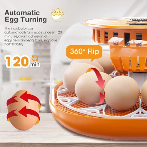 Vista 9 de Incubadora de 12 huevos con giro automático de huevos y control de temperatura, adición automática de agua, vela LED de huevos, incubadoras