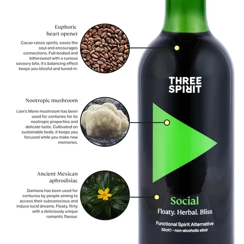 Vista 2 de Three Spirit Licor Alternativo Sin Alcohol - El Elixir, 50cl Adaptógenos, Cacao, Damiana y Oreja de León Bebida Botánica Activa, Sin Gluten