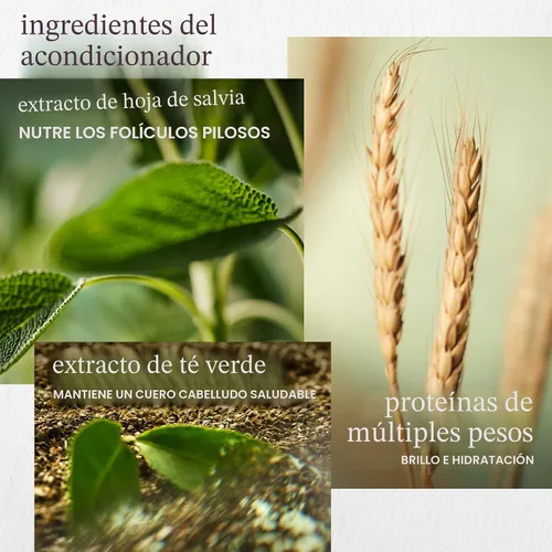 Vista 8 de Pureology Kit de Champú y Acondicionador Hidratante - Para Cabello Seco, Medio a Grueso y Teñido, Suaviza y Hidrata Profunda, Sin Sulfatos