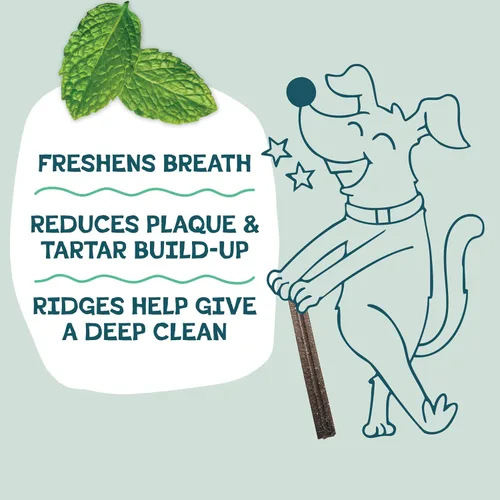 Vista 4 de Shameless Pets Golosinas Dentales para Perros, A Cluck A Day - con Apoyo Digestivo para Limpieza de Dientes y Aliento Fresco - Huesos Masticables