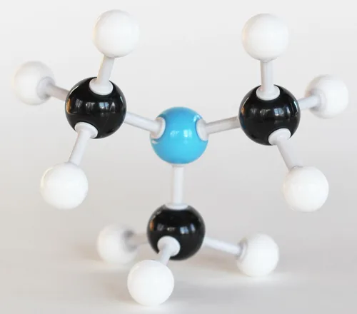 Vista 6 de Kit de estudiante modelo molecular de química orgánica (88 átomos y 140 partes de enlace) - MM-004