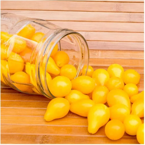 Vista 3 de everwilde explotaciones – Orgánico amarillo pera Tomate Semillas de producción – Oro Vault Packet