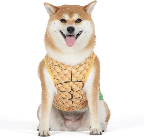 Vista 7 de DC Comics Disfraz de perro Aquaman para mascotas, pequeño