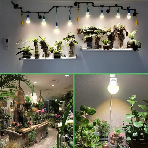 Vista 4 de Paquete de 3 Bombillas de Luz de Crecimiento de Espectro Completo, Luz A19 para Plantas de Interior, Bombilla de Crecimiento de 9W Regulable E26