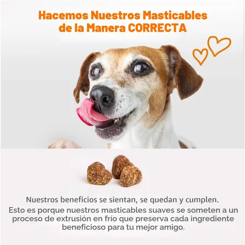 Vista 6 de Omega 3 alimento para perros, suplemento de aceite de pescado, alimento natural para piel saludable sin pulgas, mejora huesos y articulaciones