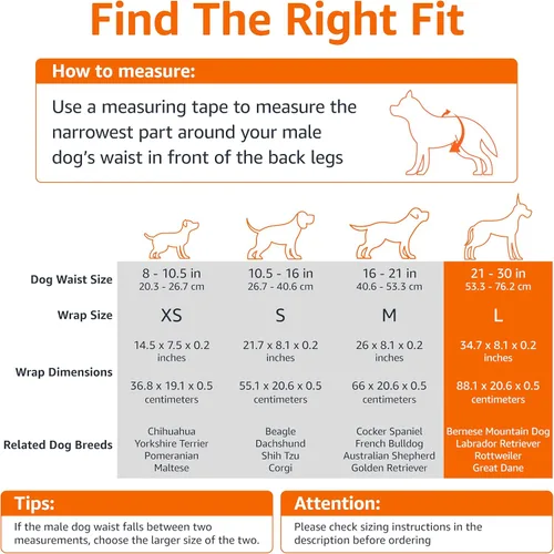 Vista 4 de Amazon Basics Pañales para perros machos, 30 unidades, grandes, envoltura desechable ultra absorbente con ajuste seguro, a prueba de fugas y cómodos