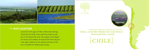 Vista 2 de Alonso, Aceite de Oliva Virgen Extra, Chile, Cosecha 2025, Oro NYIOOC 2025, Regalo, Producción exclusiva, Hemisferio Sur, Fuente única, Granja