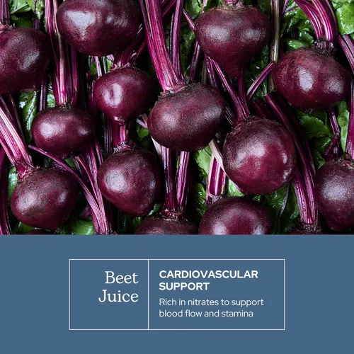 Vista 3 de Eclectic Herb - Cápsulas de jugo de remolacha orgánica Suplemento de hierbas naturales Salud cardiovascular premium y apoyo a la circulación