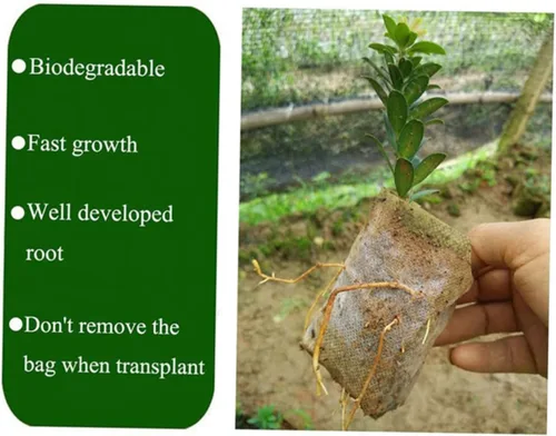 Vista 6 de 200Pcs Biodegradable Non-Woven Plant Grow Bags, Breathable Nursery Pots