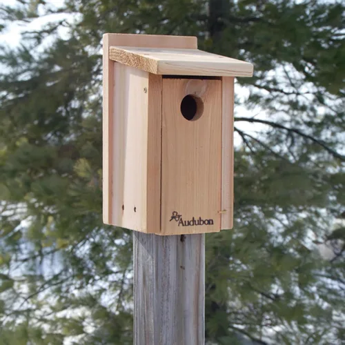Vista 2 de Woodlink NABB Audubon Cedar Bluebird Casa