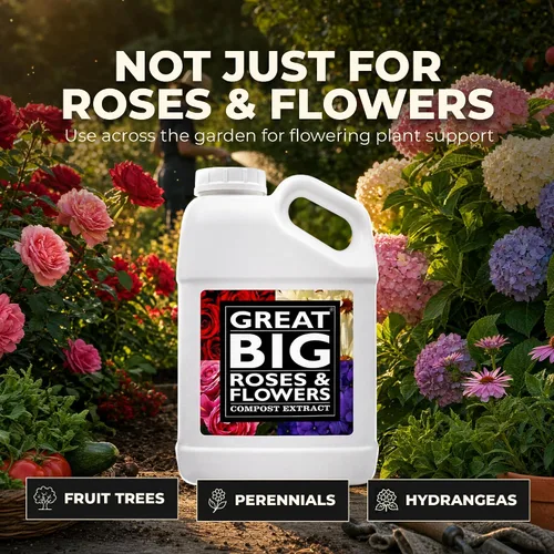 Vista 6 de Great Big Roses and Flowers - Potenciador de fertilizante líquido de rosas y flores, 70 minerales, extracto de compost, activador de suelo de jardín