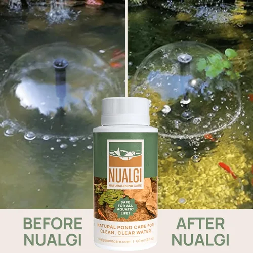 Vista 2 de Treats 60,000 galones: limpiador natural de estanques y clarificador de agua Elección ecológica para estanques de peces Koi 100% seguro
