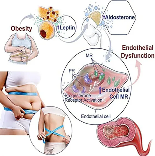 Vista 6 de Prettyhealth - Brasier de desintoxicación y modelado de linfa, potente brasier de levantamiento, modelado de desintoxicación de turmalina y potente