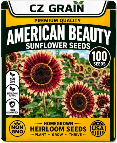 Vista 65 de CZ Grain Semillas para plantar, 40 pequeñas mezclas de calabaza