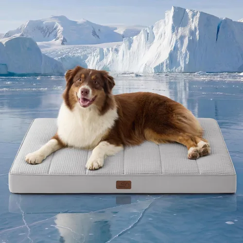 Vista 53 de Bedsure - Cama ortopédica pequeña para perros chicos, impermeable, con funda extraíble lavable, tapete de espuma con forma de huevera para mascotas