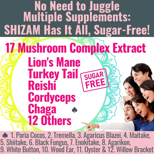 Vista 2 de Gomitas complejas de hongos Shilajit sin azúcar, extracto de hongos con melena de león Reishi cola de pavo Cordyceps Shiitake Chaga Maitake
