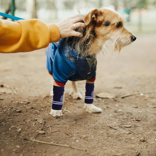 Vista 7 de Toddmomy Protector de codo de perro para mascotas, mangas de punto para piernas, cubiertas cálidas para piel sensible, elástico duradero