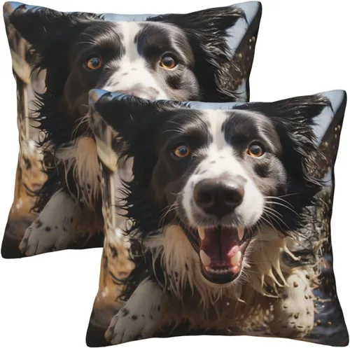 Vista 7 de 2 fundas de almohada cuadradas de 16 x 16 pulgadas, fundas de almohada suaves de pastor Border Collie, fundas de almohada modernas para decoración