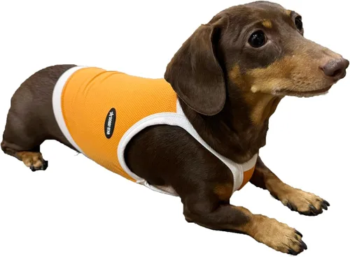 Vista 9 de D Doggy Star - Suéter de perro salchicha para perros, ropa de forro polar, abrigo de invierno (M, bolsillo azul marino)