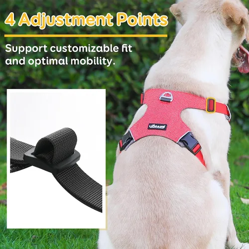 Vista 2 de LIOPARD Arnés para perro, arnés para mascotas fácil de caminar sin tirones, con 2 clips para correa, chaleco reflectante suave acolchado ajustable