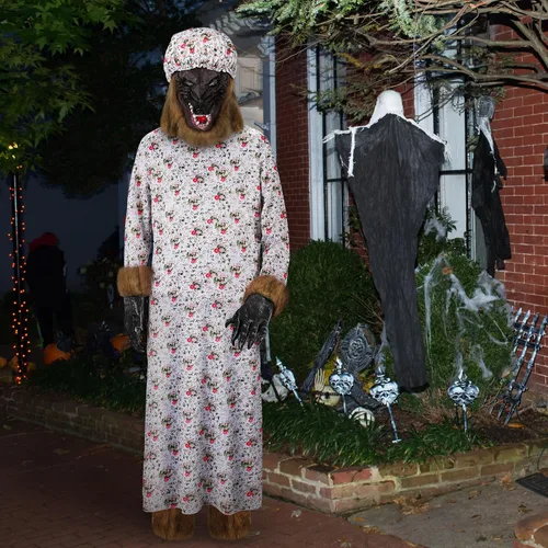 Vista 5 de Bonuci Disfraz de Halloween de lobo de abuelita para adultos, traje de cosplay con sombrero, máscara de cabeza de lobo, guantes de lobo