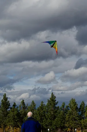 Vista 3 de in The Breeze 48-inch Stunt Kite, Dual Line, Framed Kites for Beginner to Intermediate Sport Kite Flyers