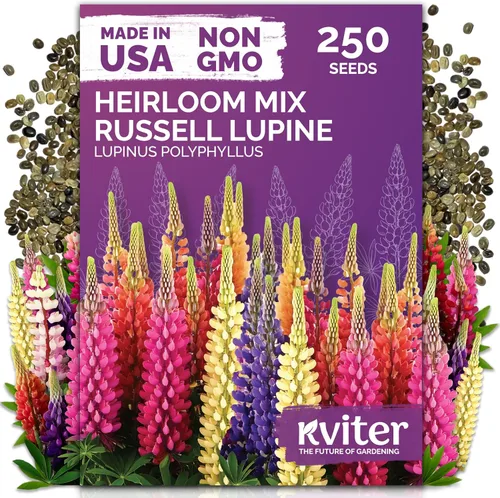 Vista 30 de KVITER 15,000 semillas de rosa musgo mixta para plantar (Portulaca grandiflora) – Cubierta de suelo con floración de reliquia, semilla de Portulaca