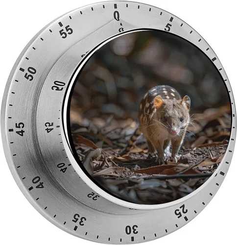 Vista 16 de Temporizadores mecánicos de cocina para cocinar, temporizador magnético de cuenta regresiva de 60 minutos con boca de animal, lindos temporizadores