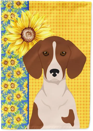 Vista 351 de Caroline's Treasures WDK5313GF Bandera de jardín con diseño de girasoles de verano, color negro y tostado, Airedale Terrier para buzón, bandera