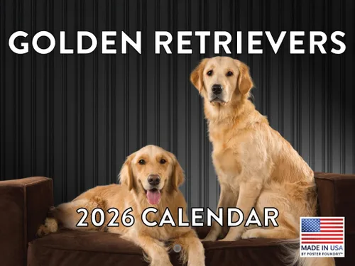 Vista 184 de Calendario mensual de pared Airedale Terrier Dog 2027 rojo (Airedale Terrier)