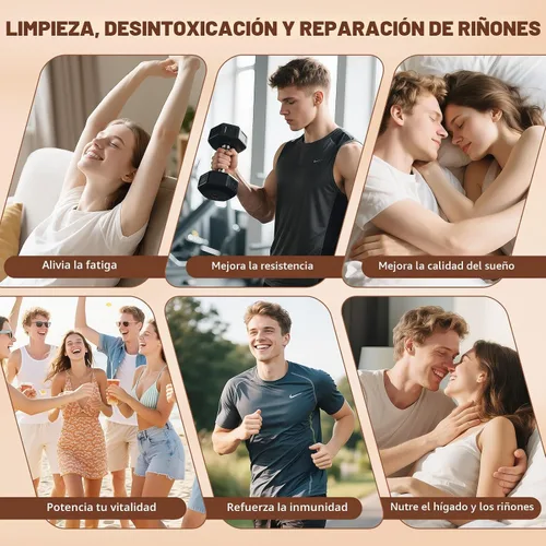 Vista 2 de Fórmula de Té de Riñón Ginseng Seis Tesoros, Té de Hierbas de Ginseng y Mora, Limpieza y Reparación de Riñones Detox, Bolsitas de Té Herbal