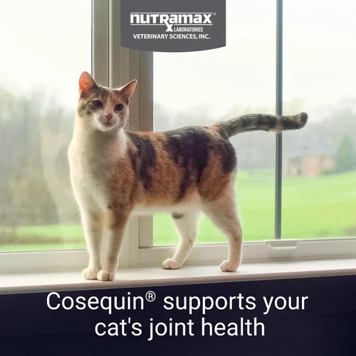 Vista 2 de Nutramax Cosequin para Gatos - Suplemento para la salud de las articulaciones, contiene glucosamina para gatos, además de condroitina y omega-3