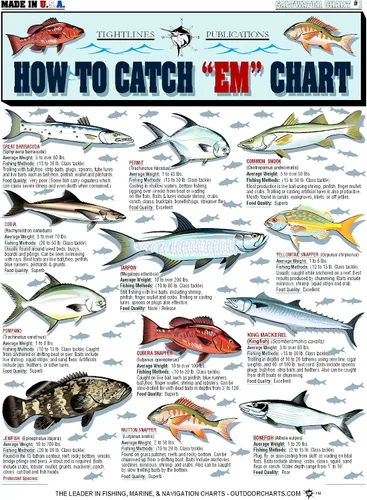 Vista 6 de Saltwater Fish Identification Chart #1 - Waterproof Quick Reference Fishing Guide - Species ID + Fishing Methods