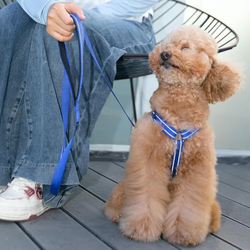 Vista 7 de EXCELLENT ELITE SPANKER Arnés sin tirones para perro, chaleco de nailon reflectante en forma de L, ajustable y fácil para mascotas, para razas Negro