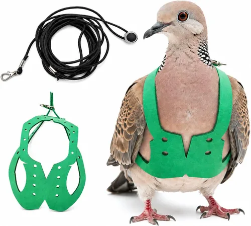Vista 12 de Juego de arnés ajustable y correa para pájaros pequeños, apto para periquitos, conures, cacatúas, mejillas verdes, loros cuáqueros (verde, XS) 6350-6