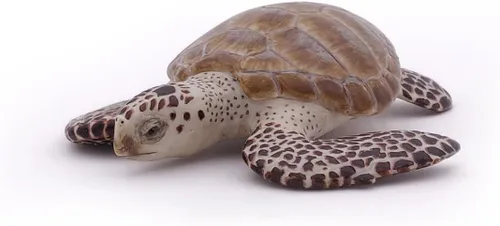 Vista 5 de Papo - Figura realista de tortuga marina boba - A partir de 3 años - Colección de vida marina - Animales marinos educativos - Juguete de idea