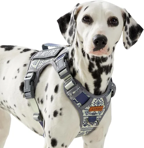 Vista 10 de Arnés para perro sin tirones para perros de tamaño pequeño, chaleco ajustable para caminar fácilmente, material Oxford transpirable, tiras Verde