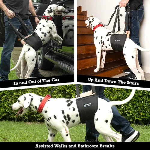 Vista 8 de Tuff Pupper Arnés de cadera para perros Soporte de elevación trasera para perros mayores y lesionados Ayuda de movilidad ajustable Mango