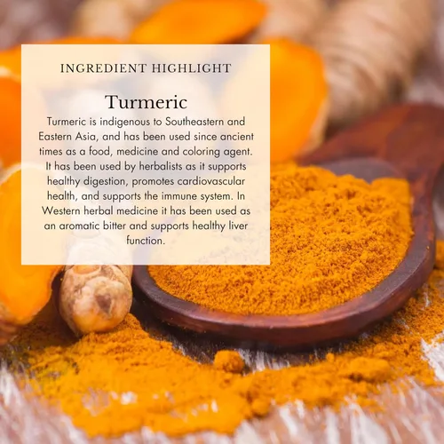 Vista 4 de Anima Mundi Apothecary Tónico para el resfriado y la gripe - Gotas de apoyo inmunológico con equinácea, ajo, raíz de cúrcuma y jengibre fresco