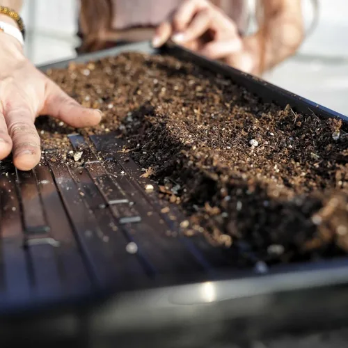 Vista 2 de Bootstrap Farmer - Bandejas Microgreen 1020, paquete de 5 bandejas de semillas extra resistentes y poco profundas con orificios - Cultivo