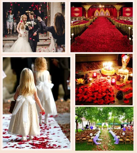 Vista 3 de ocharzy 1000 pétalos de rosa artificiales de seda para decoración de boda, noche romántica, día de San Valentín, fiestas, eventos Gradiente B Rosa