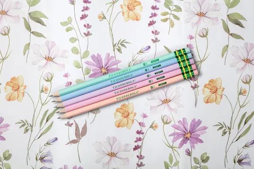 Vista 8 de Ticonderoga® Lápices pastel, 2 suaves, colores surtidos, paquete de 10 lápices