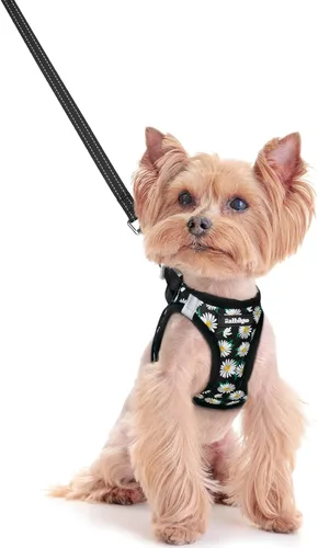 Vista 153 de rabbitgoo Arnés para perro de tamaño pequeño y juego de correa, chaleco Cachorros de manzana