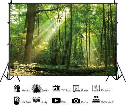 Vista 3 de Telón de fondo de bosque pacífico de 5 x 3 pies para fotografía, árboles verdes, fondo de sol para camping, suburbios, picnic, fiesta, decoración